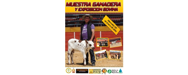 Muestra y Exposición Bovina